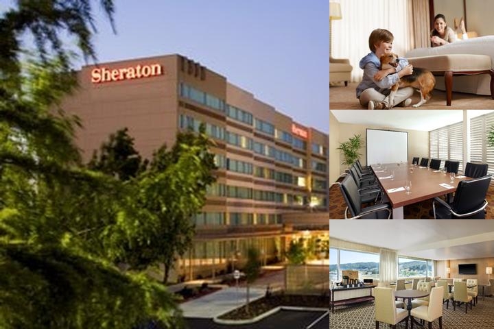 Sheraton Pleasanton photo collage