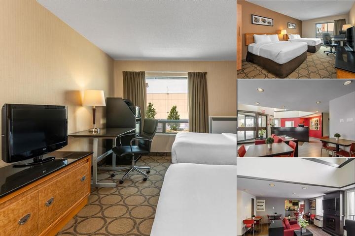 Comfort Inn Prince Albert photo collage