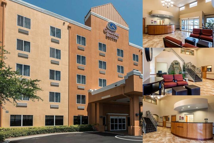 Comfort Suites Tampa Airport North photo collage