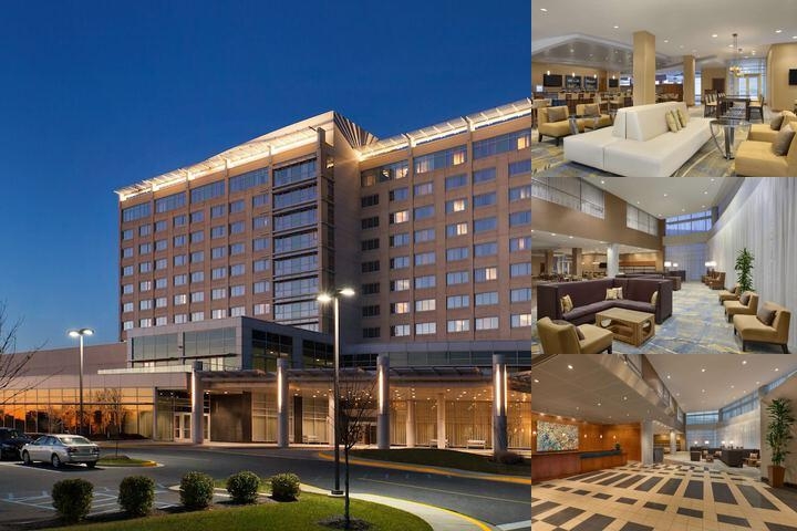 Hilton Baltimore BWI Airport photo collage