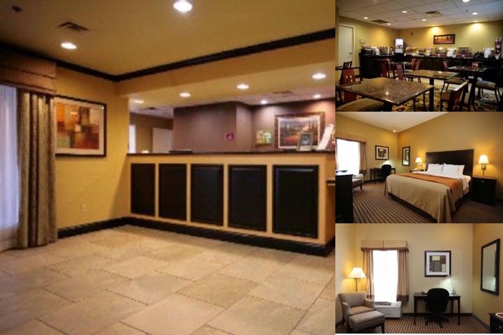 Spark by Hilton photo collage