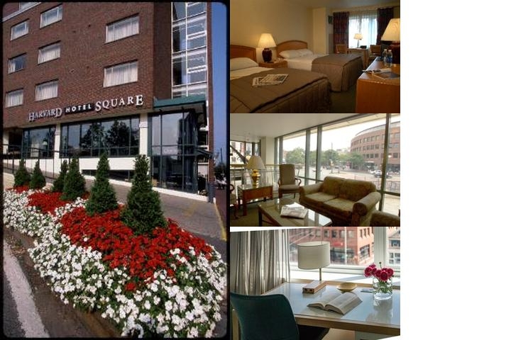 Harvard Square Hotel photo collage