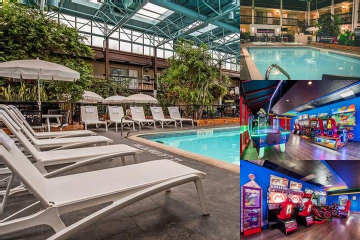 Best Western Plus Cairn Croft Hotel photo collage