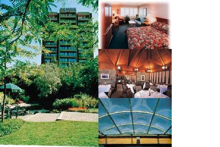 Valhalla Inn Toronto photo collage