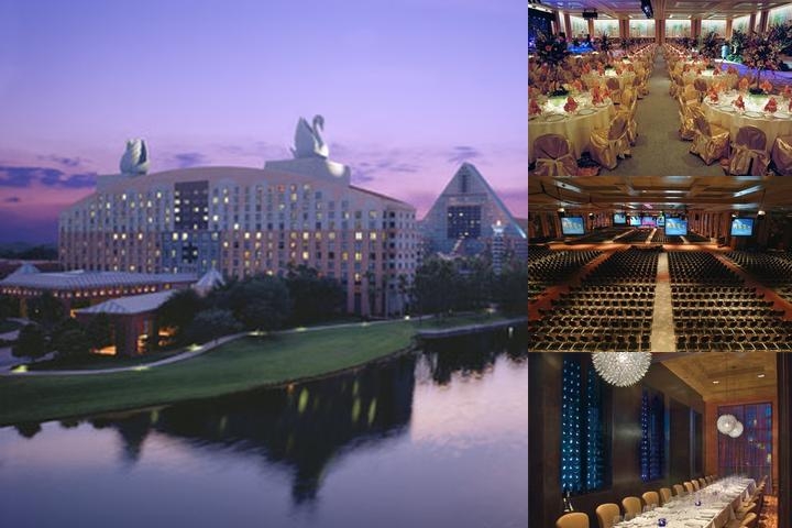 Walt Disney World Dolphin photo collage