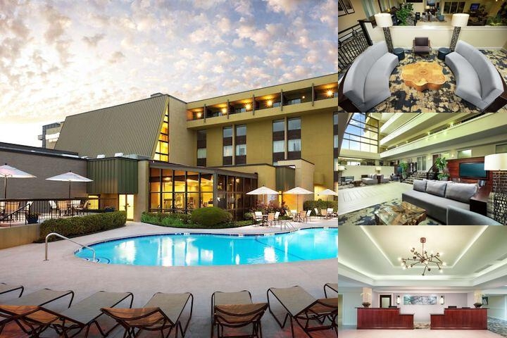 Doubletree by Hilton Columbia Sc photo collage