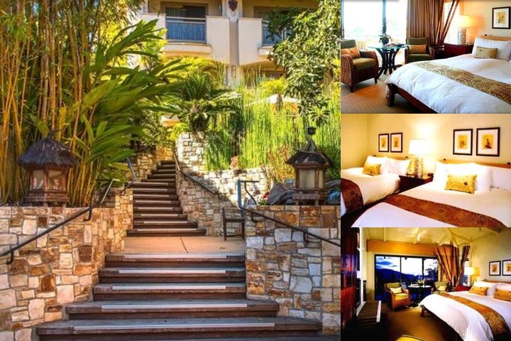 Tradewinds Carmel photo collage