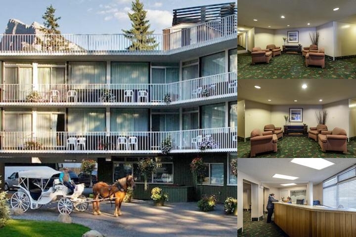 Bow View Lodge photo collage