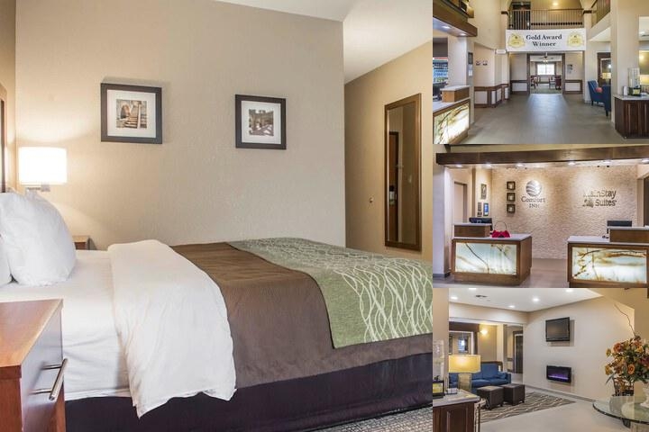 Comfort Inn Edinburg South photo collage