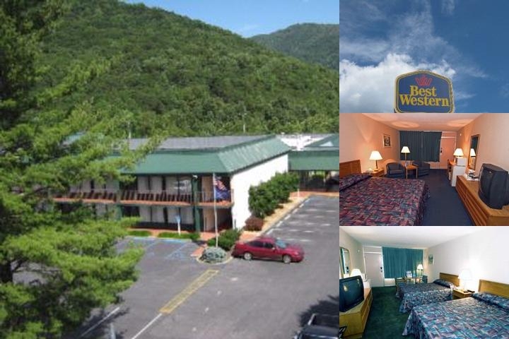 Hotel Red Rose by Townhouse Covington I 64 photo collage
