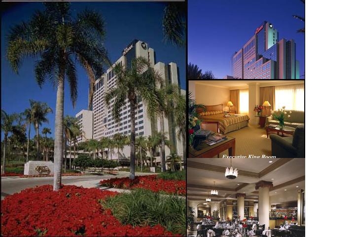 Hyatt Regency Orlando photo collage