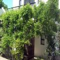 Photo of 16 Rhodes North Self Catering