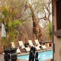 Exterior of African Rock Lodge