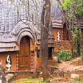 Image of Aha Shakaland