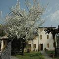 Image of Albergo Volpara