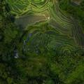 Image of Alila Ubud. Bali