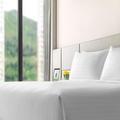 Image of Alva Hotel by Royal
