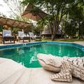 Photo of Amani Safari Camp
