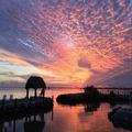 Photo of Amoray Dive Resort