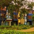 Exterior of Amorita Resort Bohol