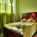 Image of Andino Real
