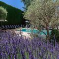 Photo of Auberge De Cassagne & Spa