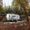 Image of Autocamp Yosemite