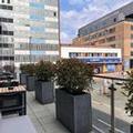 Image of B&B HOTEL Birmingham Centre