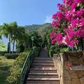 Image of Balcones Del Cerro