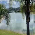 Image of Bay of Palms