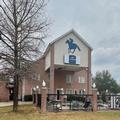 Exterior of Baymont by Wyndham Willow Park