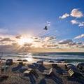 Photo of Beach Club at the Boca Raton