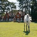 Image of Beaulieu Hotel