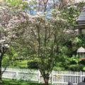 Photo of Beautiful Valley Guesthouse