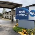 Image of Best Western Executive Inn