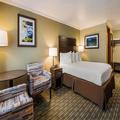Image of Best Western Holiday Hotel
