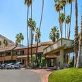 Image of Best Western Inn at Palm Springs