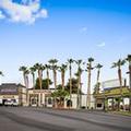 Image of Best Western Pahrump Oasis