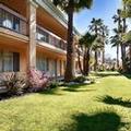 Image of Best Western Palm Court Inn