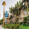 Photo of Best Western Palm Garden Inn