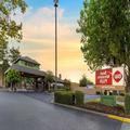 Photo of Best Western Plus Forest Park Inn