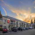 Photo of Best Western Plus Plaza by the Green