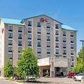 Image of Best Western Plus Thornburg Inn & Suites