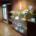 Image of Best Western Saltillo