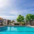 Image of Best Western Willows Inn