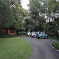Image of Big Tree B&B and Guest House