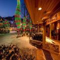 Image of Blackcomb Lodge