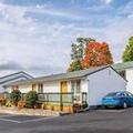 Photo of Blue Line Inn Lake George