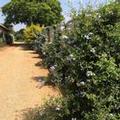Photo of Blue Mango Lodge