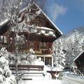 Image of Boutique Hotel Alpenrose